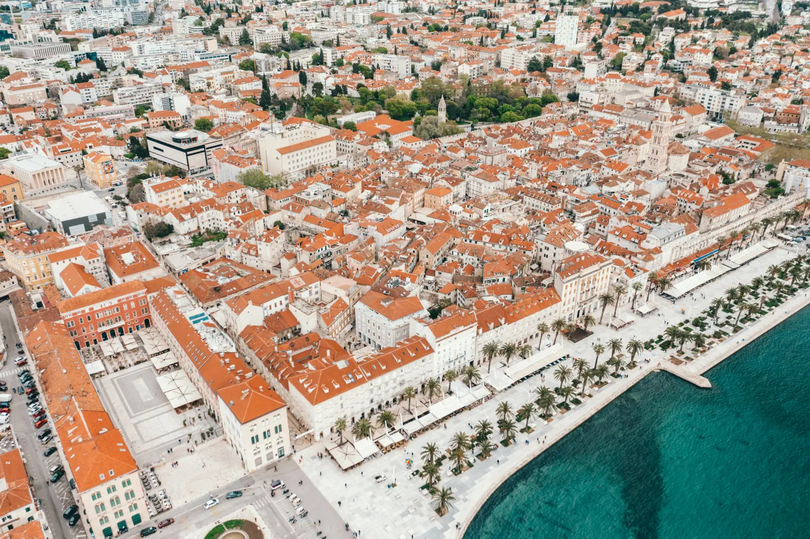 Dalmatian Coast